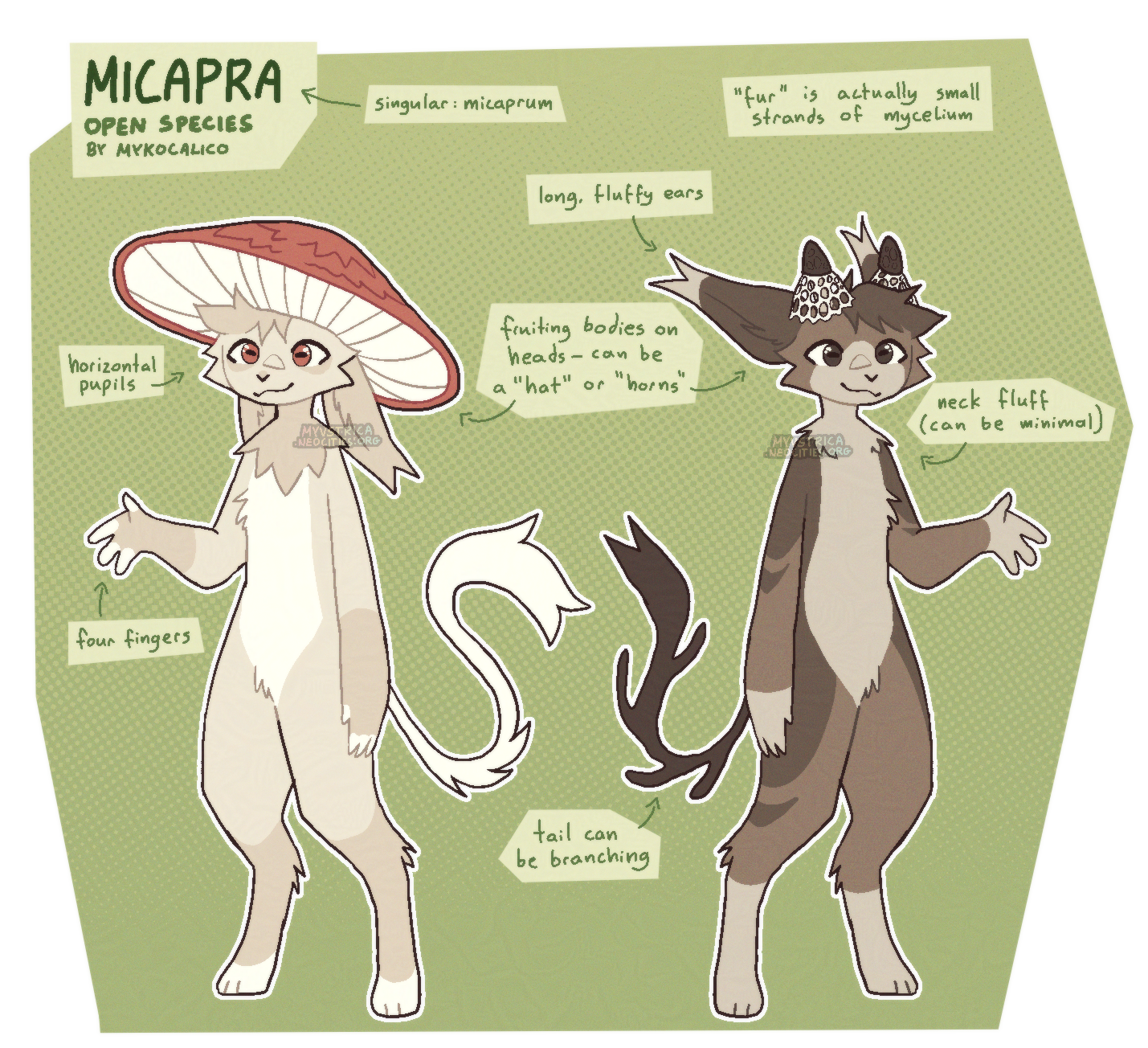 micapra ref