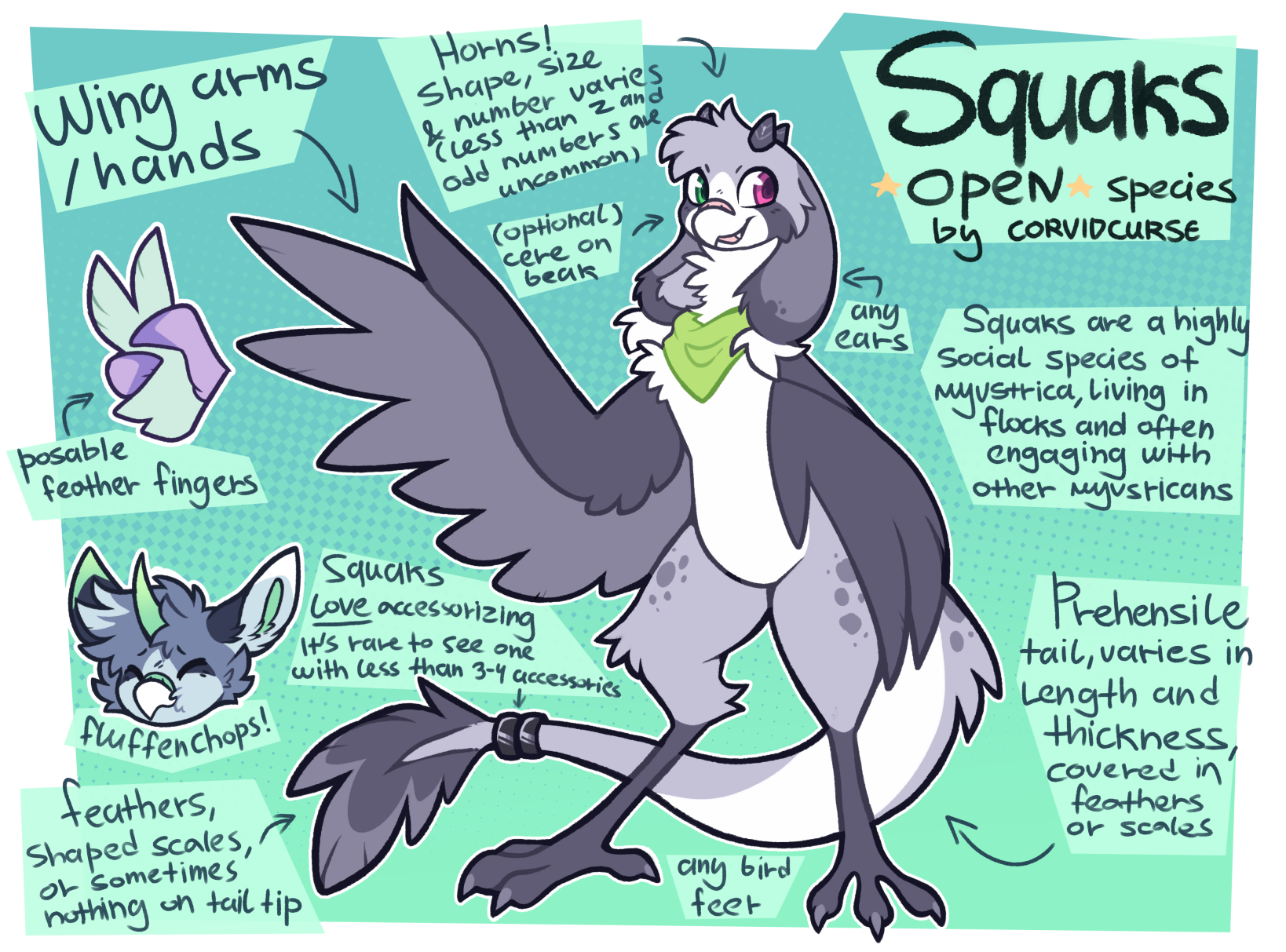 squaks ref